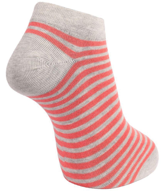 Dollar Socks Cotton Ankle Length Socks Pack of 3 - Multi