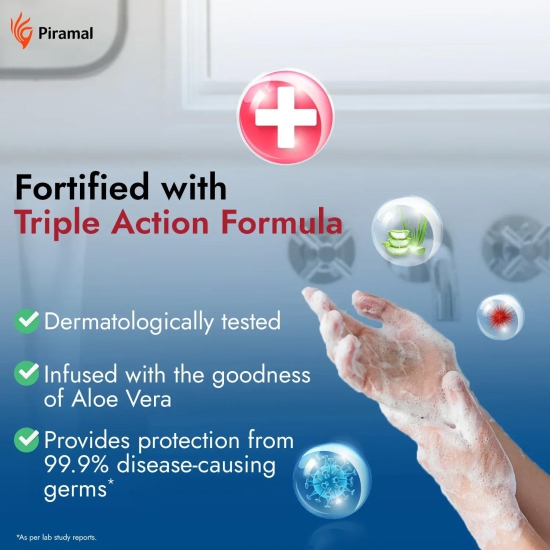 Tri-Activ Germ Protection Handwash Bottle | 300 ml