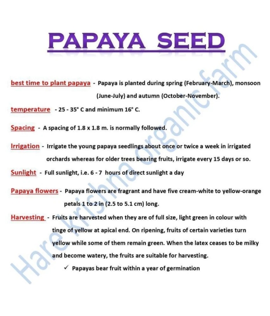 Red Lady Papaya Pack of 40 Seeds + Instruction Manual