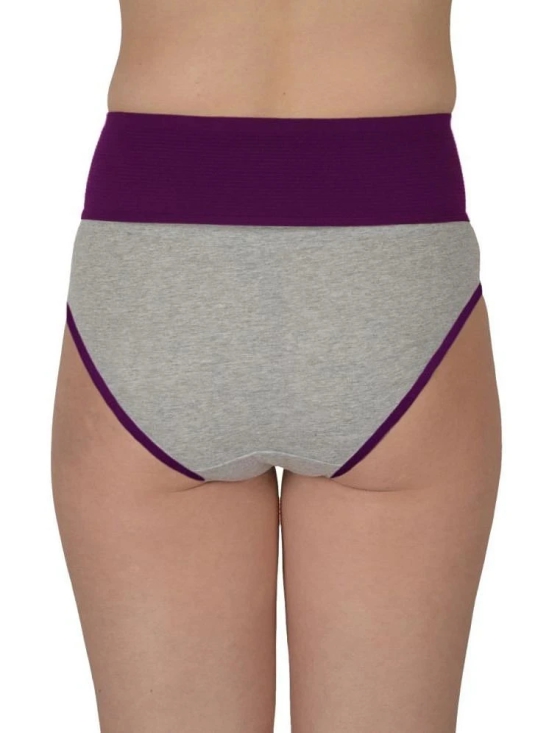 Madam Purple PANTY Nylon Solid Womens Hipster ( Pack of 1 ) - None