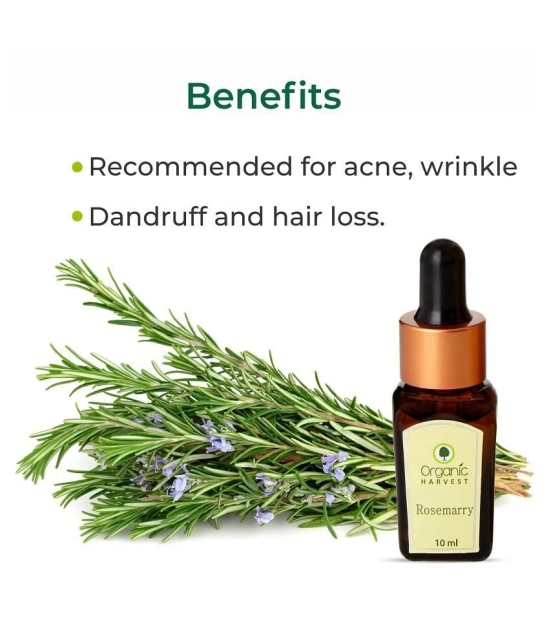 Organic Harvest Rosemary Essential Oil - 10ml