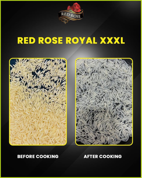 Red Rose Royal Basmati Rice, Extra Long Grain, Best Basmati Rice for Biryani, 10 KG