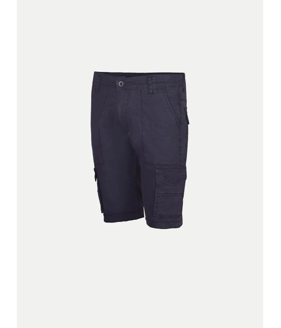 Radprix Blue Cotton Mens Cargos ( Pack of 1 ) - None