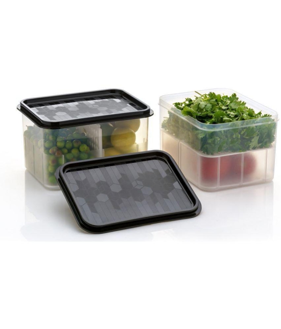 iview kitchenware - Fruit/Food/Vegetable Plastic Black Utility Container ( Set of 2 ) - Black