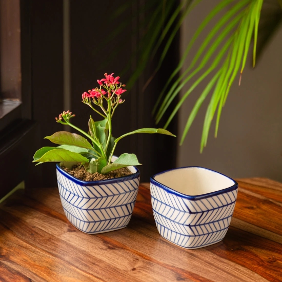 Indigo Chevron Duo Handpainted Ceramic Cuboidal Table Planter Pots (3.7 Inch, Set of 2)of 2)