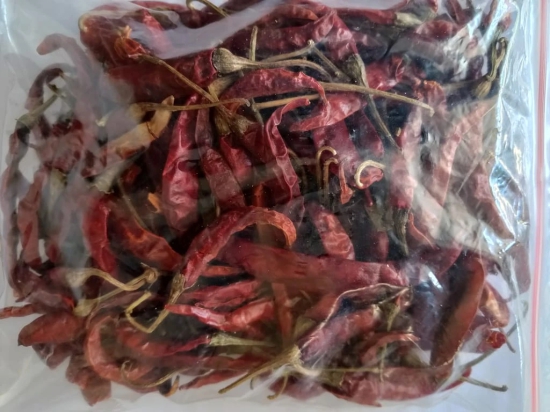 Dry Red Chilli