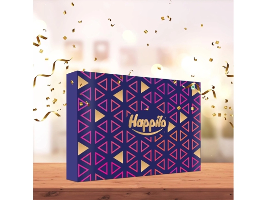 Happilo Dry Fruit Celebration Gift Box Tin Earth 330g