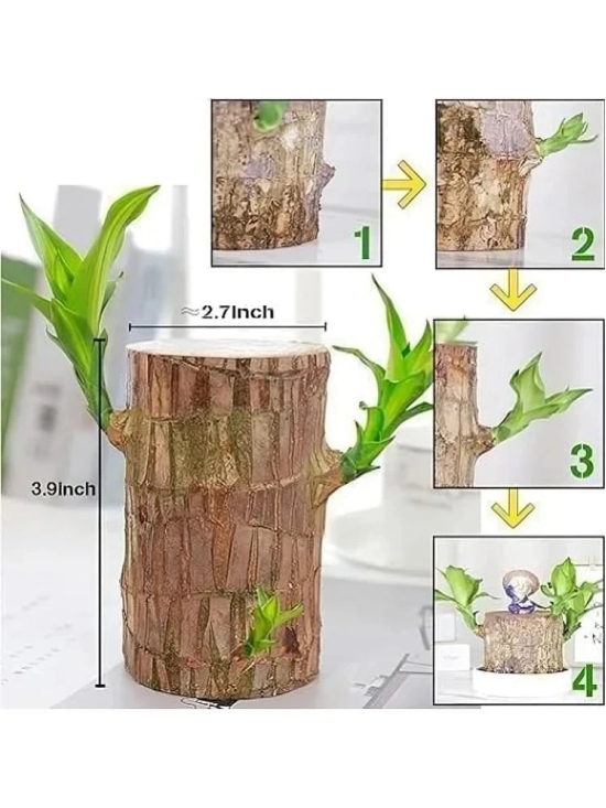 dust n shine Wood Tree