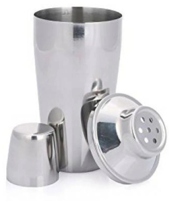 Dynore Stainless Steel Shakers - Silver