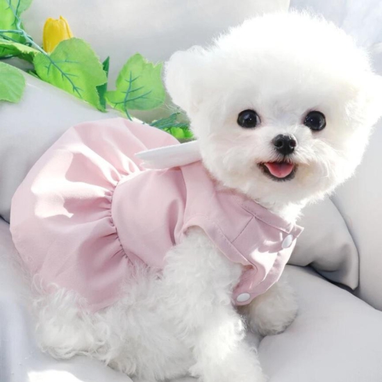 Dog Clothes| Angel Wings Pet Dress | Sizes and Colours Available| Claws N Paws-Blue / XS