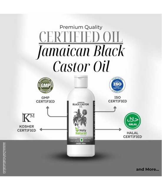 Holy Natural - Hair Growth Castor Oil 100 ml ( Pack of 1 )