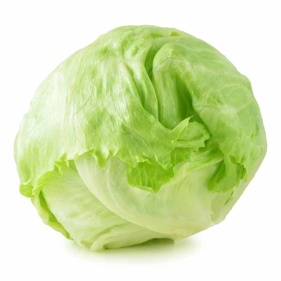 Salad Veggies Lettuce Iceberg, 1 Kg