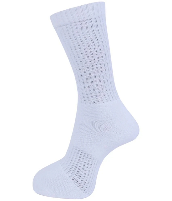 Dollar - Cotton Blend Mens Solid White Full Length Socks ( Pack of 3 ) - White