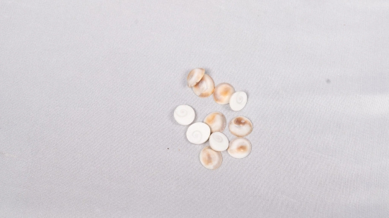 100% Natural Brown Mother of Pearl Shell Flat Round Cabochons 8mm