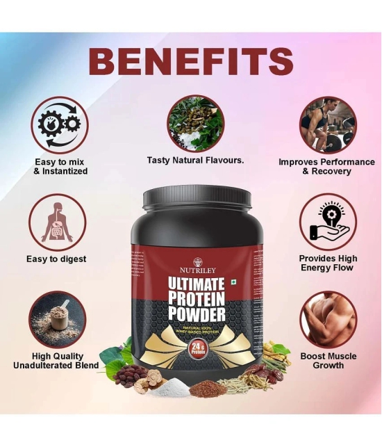 Nutriley Ultimate Whey Whey Protein ( 1000 gm , American Icecream - Flavour )