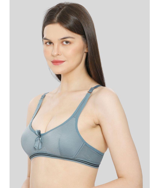 ILRASO - Blue Cotton Blend Lightly Padded Women's Plunge Bra ( Pack of 1 ) - None