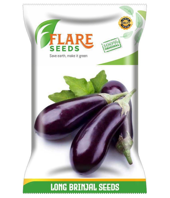 LONG BRINJAL SEEDS - 100 SEEDS PACK