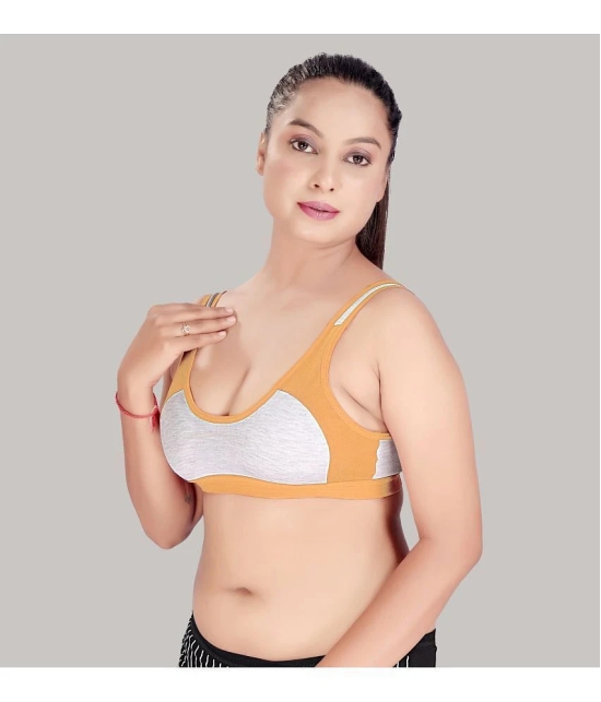 HAYA Multicolor Cotton Non Padded Womens Everyday Bra ( Pack of 2 ) - None