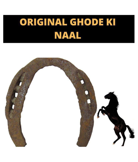 Health Ayurveda - Iron Ghode Ki Naal (Pack of 1)