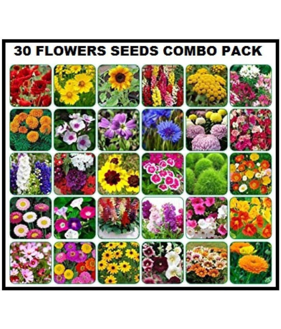 COMBO PACK  OF 30 DIFFERENT TYPE WINTER SUMMER FLOWER PLANT MIX 500+  SEEDS COMBO PACK  WITH COCOPEAT AND USER MANUAL