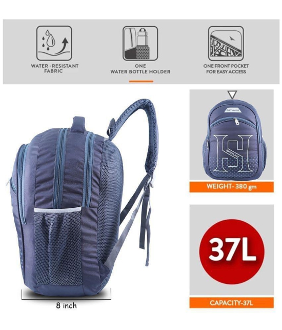 Brandroot 37 Ltrs Grey Laptop Bags