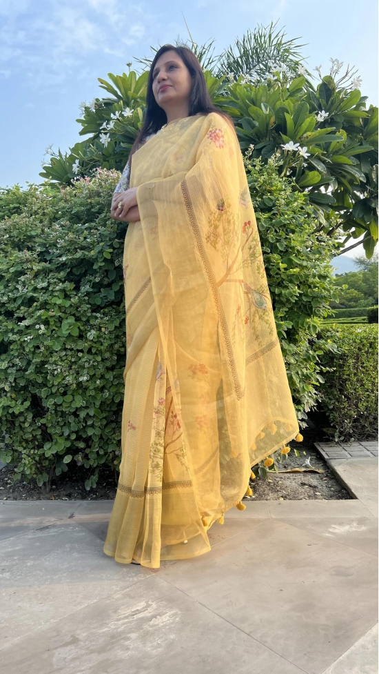 Organza saree