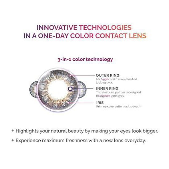 Alcon Freshlook Circle+Color - Daily Disposable Color Contact Lenses ( power lenes Pack of 10)--5.00 / Allue  Gray