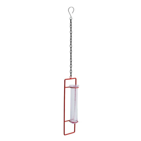 Modern Glass Garden Test Tube Hanging Planter/Vase (10 Inch, Red)