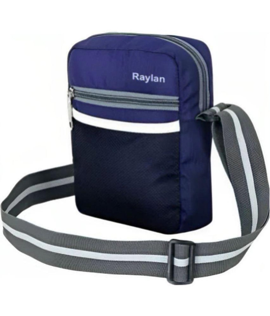 Raylan Blue Colorblocked Messenger Bag - Blue