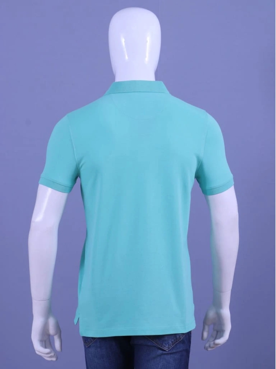 Men's Mint Enzyme Finish Solid Polo T-Shirt