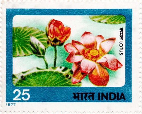 India Lotus Postage Stamps