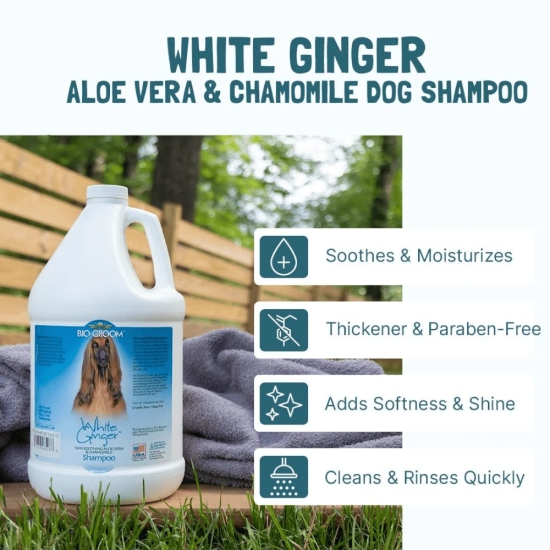 Bio Groom White Ginger Natural Scent Shampoo for Dogs and Cats-355mL