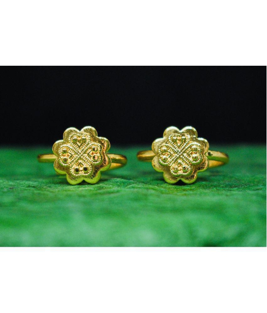 AanyaCentric Gold Plated 2 Pair Toe Rings - Golden