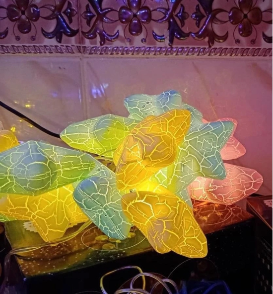 Uttamrobotics Multicolor Crack Star String light