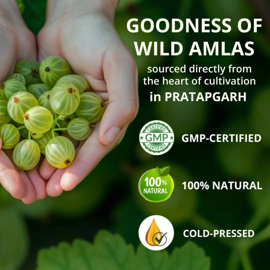 Amla Juice | 100% Cold Pressed | For Hair Growth & Detoxification | 75 Wild Amlas Per Bottle 1L