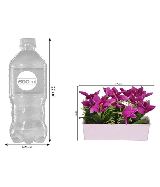 YUTIRITI Lily Purple Flowers With Pot - Pack of 1