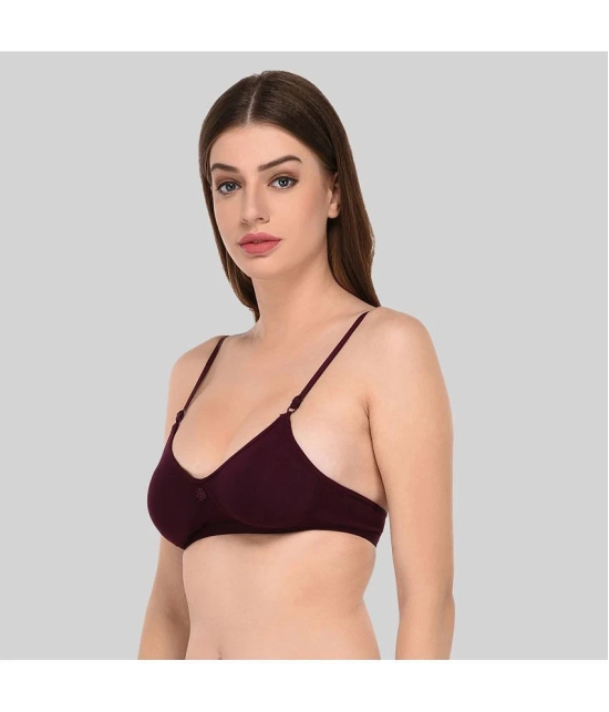 Elina Cotton Non Padded Womens T-Shirt Bra ( Purple ) - 40B