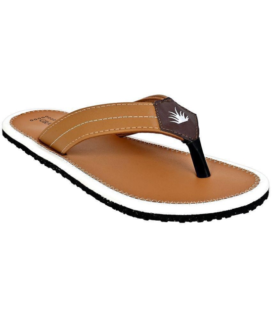 GRASS WALK - Brown Mens Thong Flip Flop - None