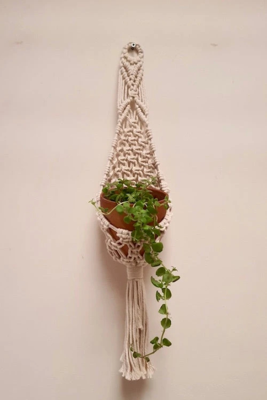 Mesh Plant Hanger