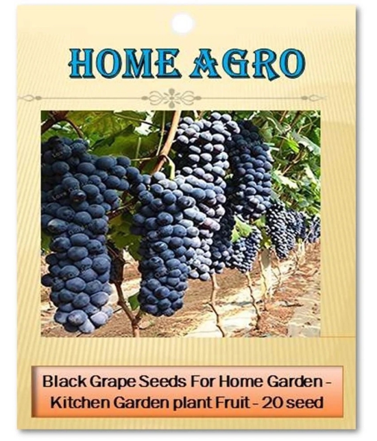 homeagro - Black Grape Fruit ( 20 Seeds )