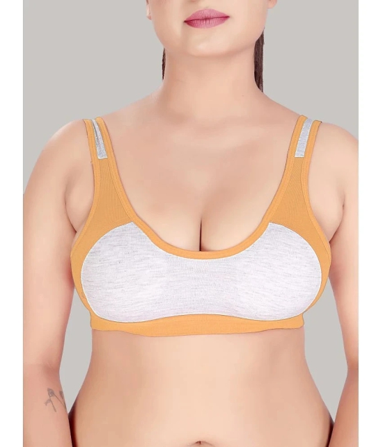 HAYA Multicolor Cotton Non Padded Womens Everyday Bra ( Pack of 2 ) - None