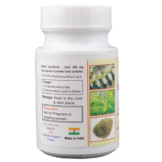 Bhumi Amla Veg Capsule Beneficial In Liver Disorder, Jaundice, Skin Infections