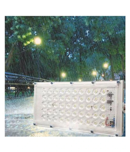 Achat 50 Watts IP 65 Flood Light Cool Day Light - Pack of 2