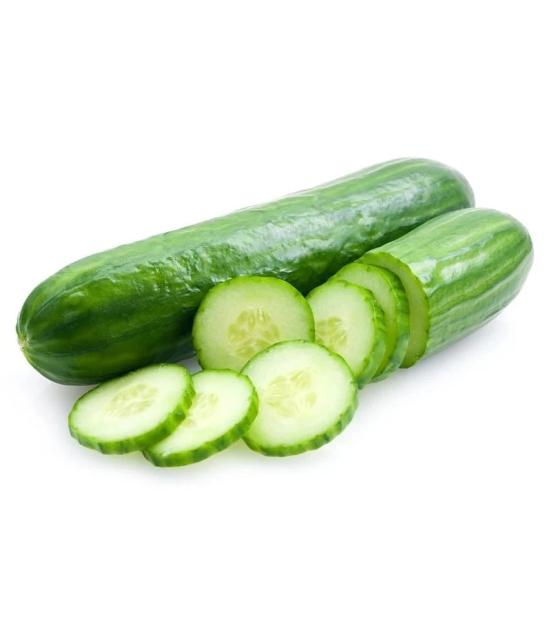 Cucumber Desi Kheera Vegetables 50 seeds