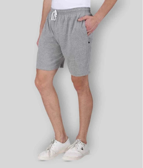 Neo Garments - Grey Cotton Mens Shorts ( Pack of 1 ) - None