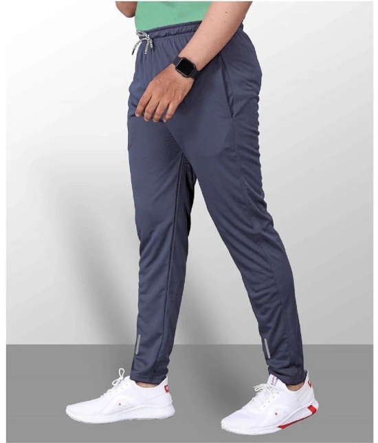 Gazal Fashions - Grey Polyester Mens Trackpants ( Pack of 1 ) - None