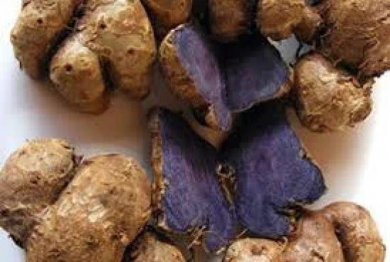 Black Ginger