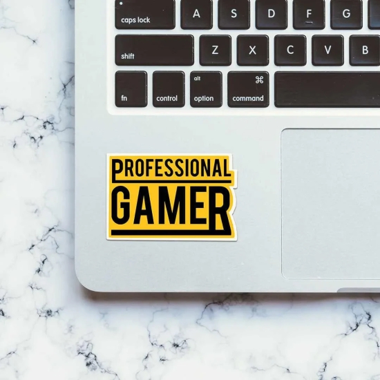 Professional Gamer Sticker