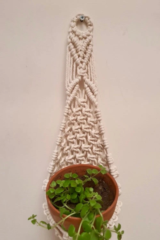 Mesh Plant Hanger