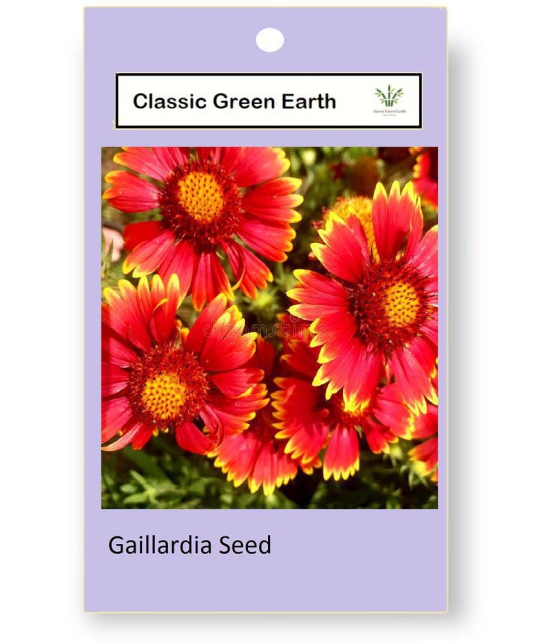 CLASSIC GREEN EARTH - Gaillardia Flower ( 30 Seeds )